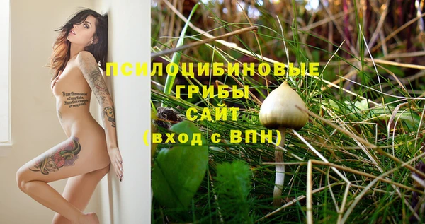 MESCALINE Алзамай
