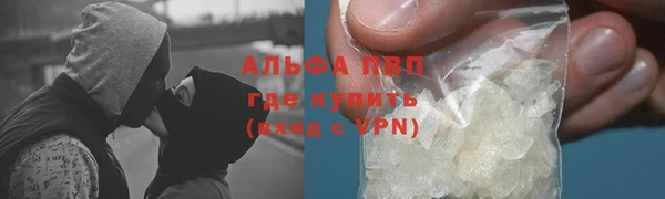 индика Абаза