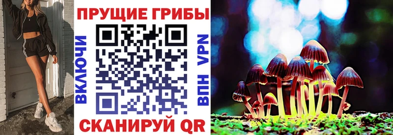 Псилоцибиновые грибы Cubensis  Каменск-Уральский 