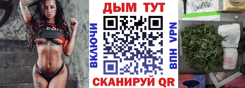 darknet официальный сайт  купить наркотики цена  Каменск-Уральский  Марихуана сатива 